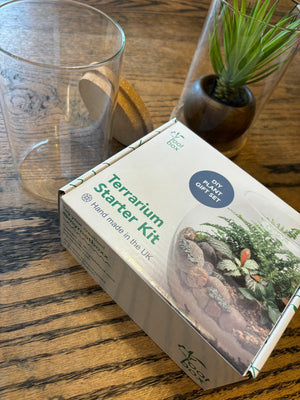 Terrarium Starter Kit