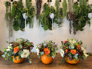 Floral Pumpkin Workshop – Thursday 26th October, Starting @ 11am (£65 per person): 2 hours