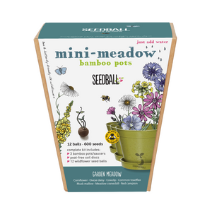 Mini-Meadow Pots