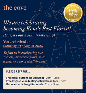 The Cove 19th August 2023: Anniversary Celebration