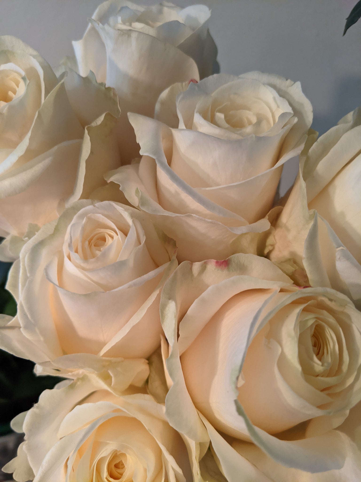 White Or Pink Rose Bouquets